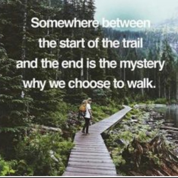 👙 Victoria’s Secret Incredible BioFit Lined Demi Uplift  Sz 40 DD - Picture 13 of 16